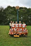Weidevogels 1