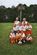 Weidevogels F1