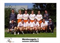 Weidevogels 1