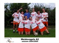Weidevogels a2