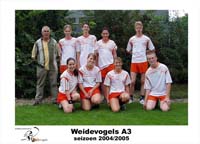 Weidevogels A3