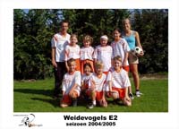 Weidevogels E2