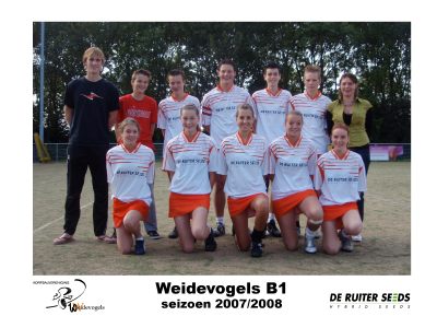Weidevogels B1