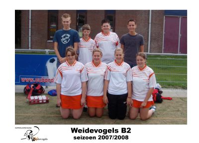 Weidevogels B2