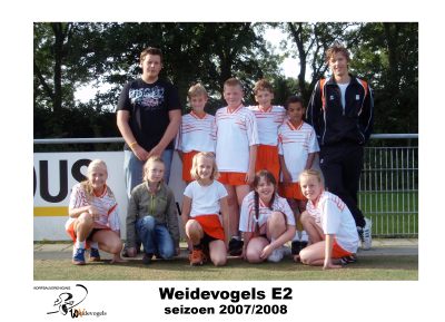 Weidevogels E2