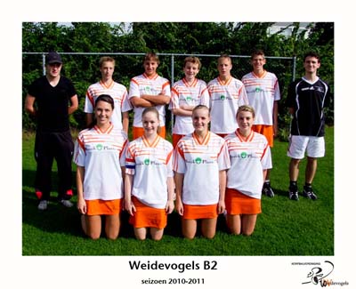 Weidevogels B2