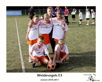 Weidevogels E3
