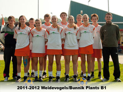 Weidevogels B1