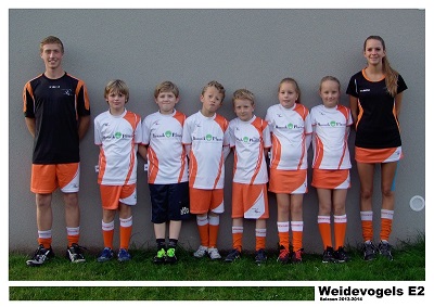 Weidevogels E2