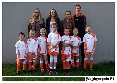 Weidevogels F1