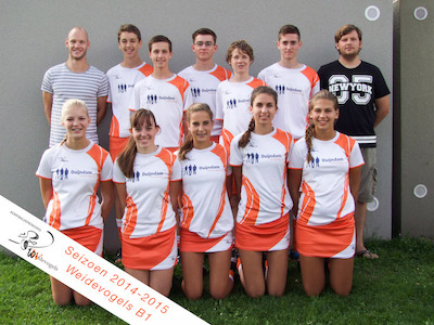 Weidevogels B1