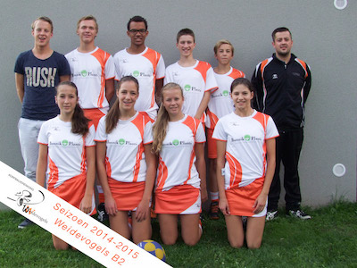 Weidevogels B2